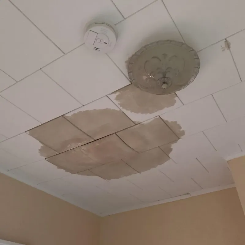 Ceiling Water Damage Repair in Cuyahoga Falls, OH