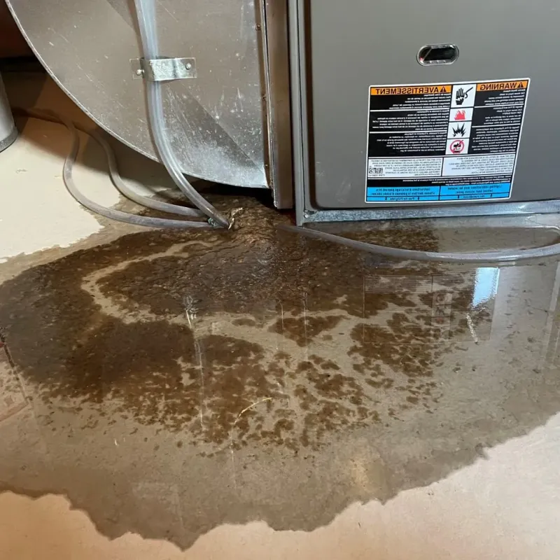 Pipe Burst and Leak Restoration in Cuyahoga Falls, OH